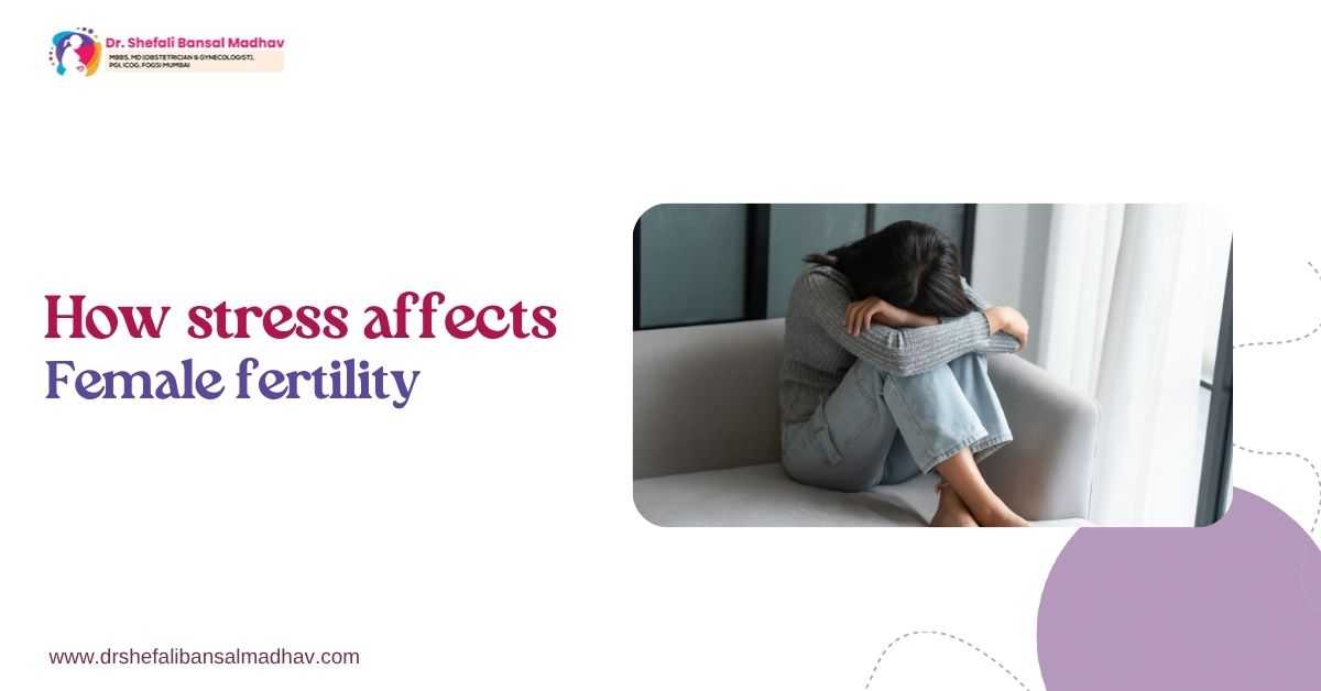 How Stress Affects Female Fertility