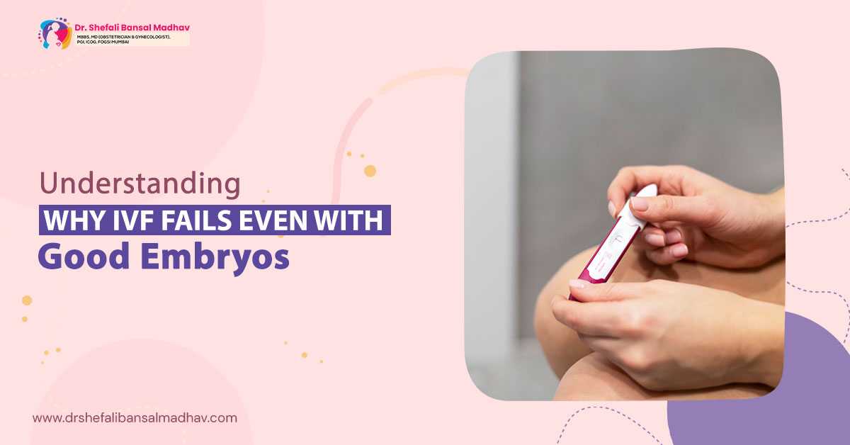 best ivf doctor in siliguri