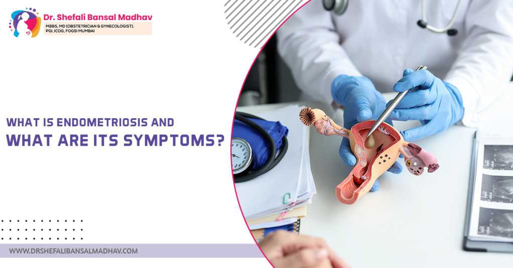 best Fertility Specialist in Siliguri