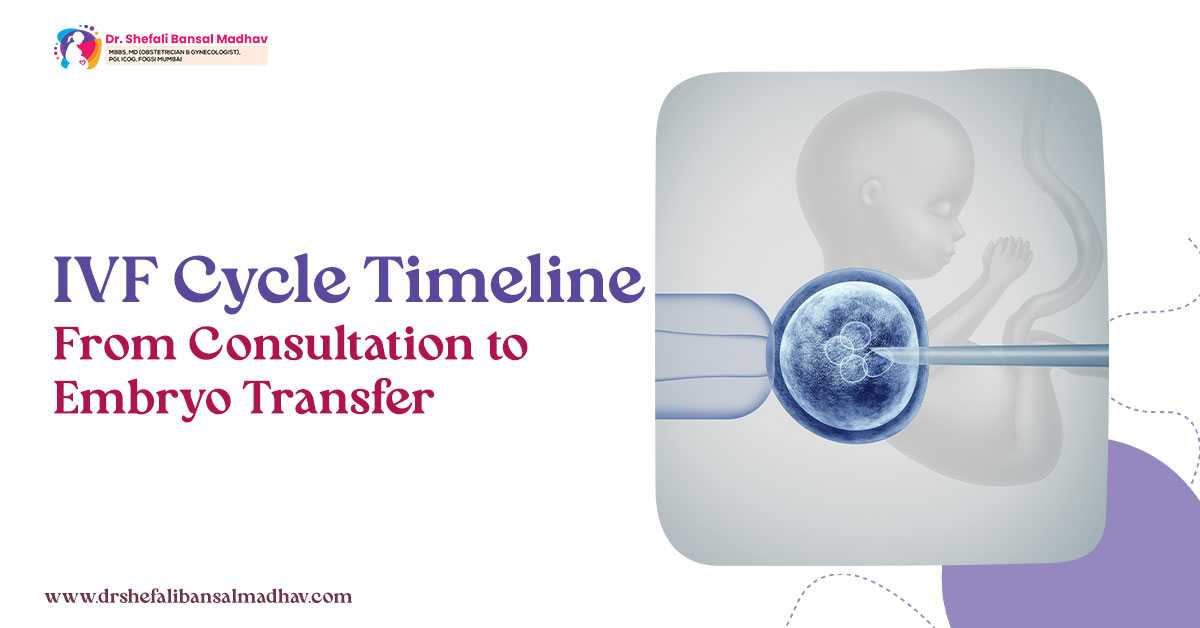 IVF Cycle Timeline: From Consultation to Embryo Transfer