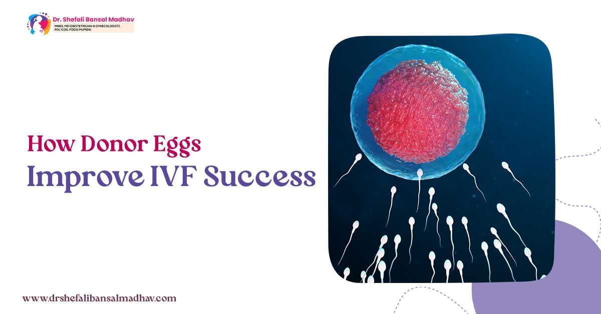 How Donor Eggs Improve IVF Success