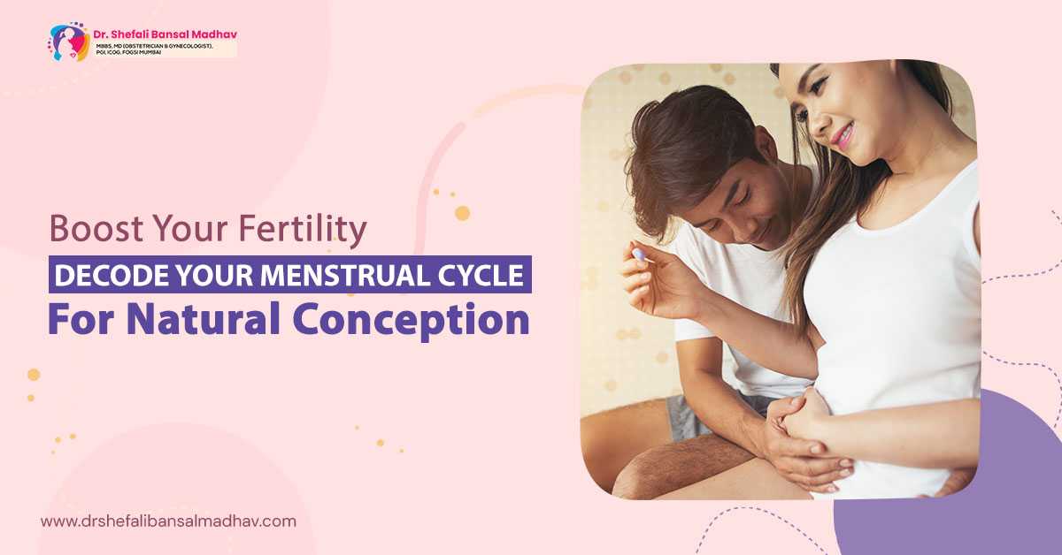 best ivf doctor in siliguri